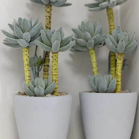 Baltini Premium Blizej Morza Kolobrzeg